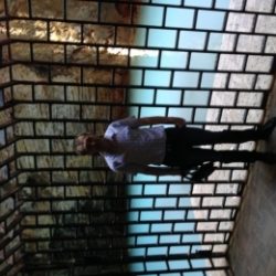 Парень ищет девушку для секса без обязательств, можно замужнюю в Вологде Парень ищет девушку для секса без обязательств, можно замужнюю в Вологде